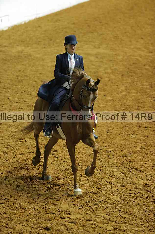 Proof 14r9_6409