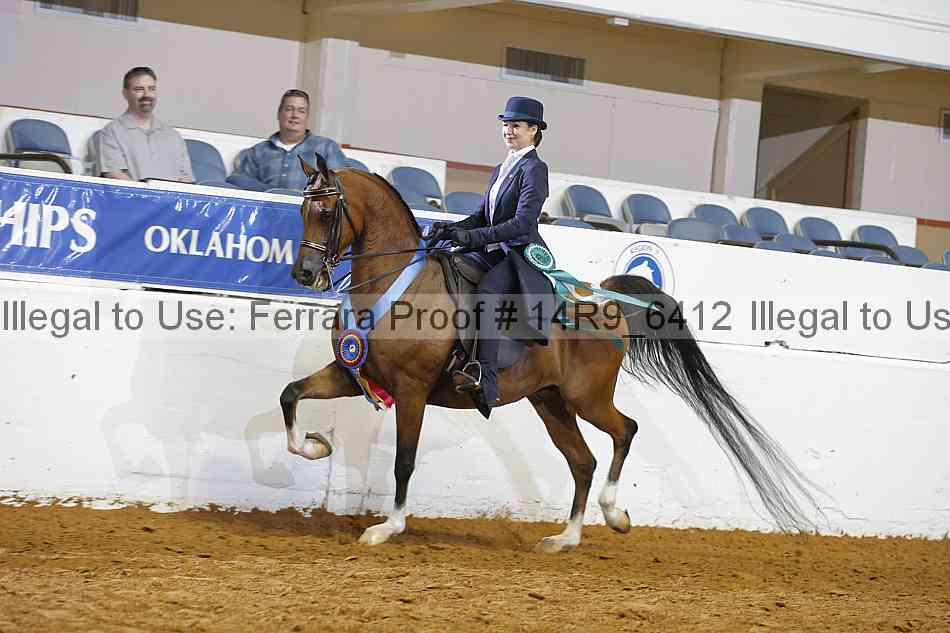 Proof 14r9_6412