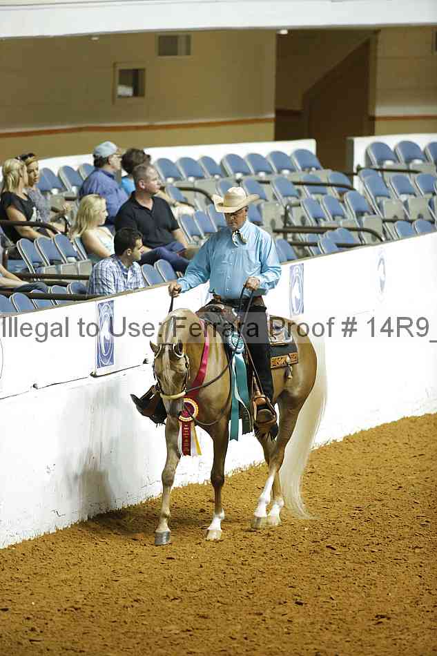 Proof 14r9_6463
