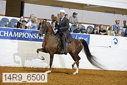 14r9_6500 proof