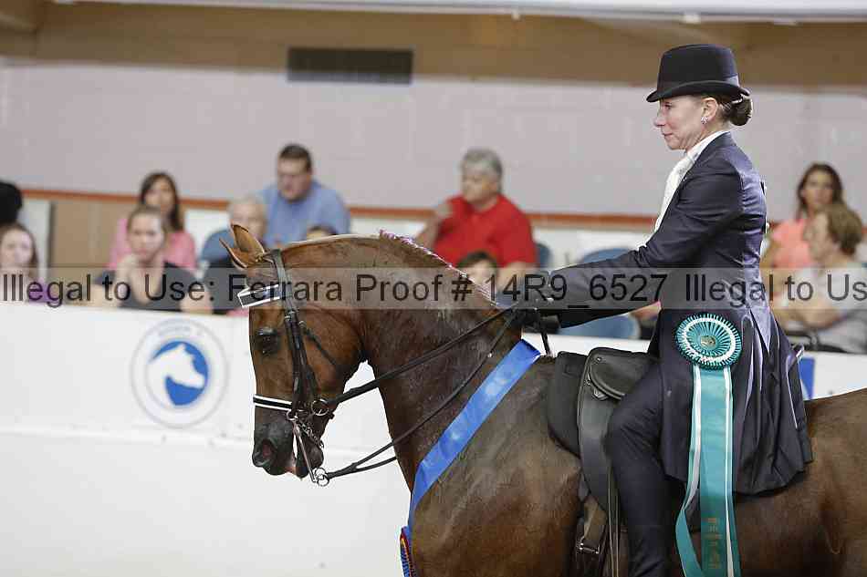 Proof 14r9_6527