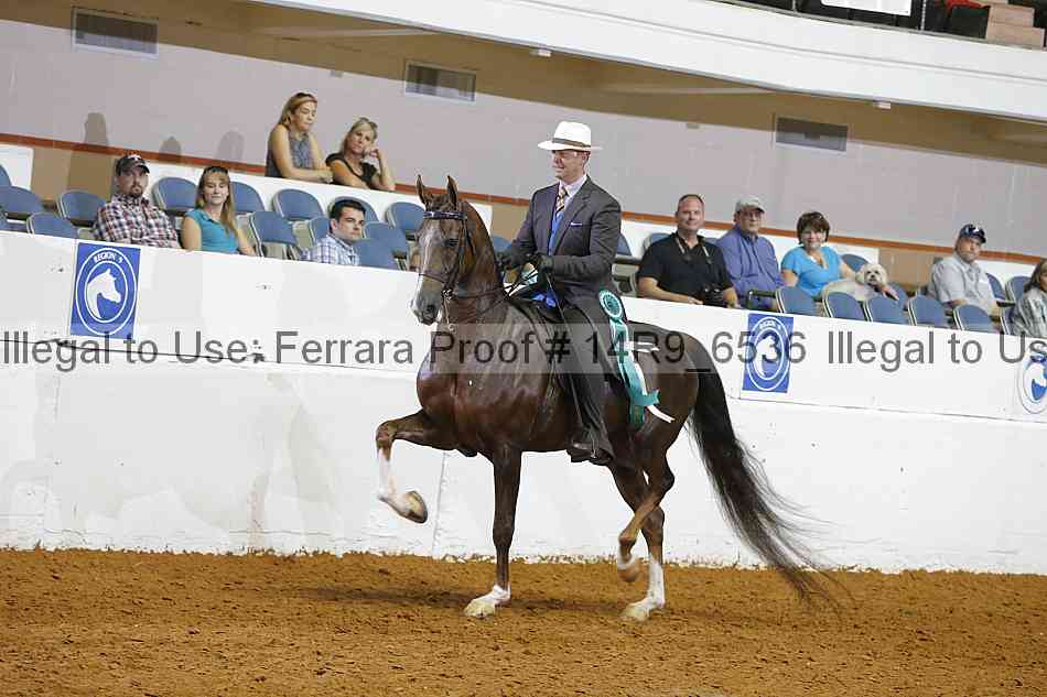 Proof 14r9_6536