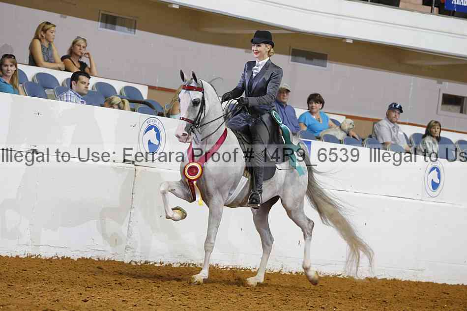 Proof 14r9_6539