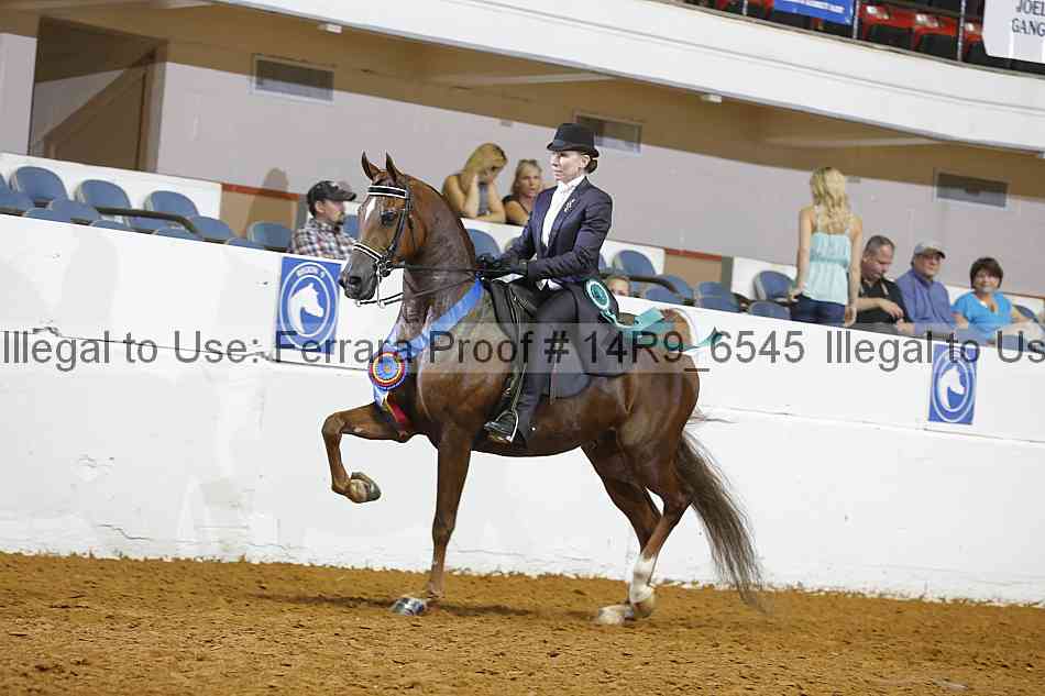 Proof 14r9_6545