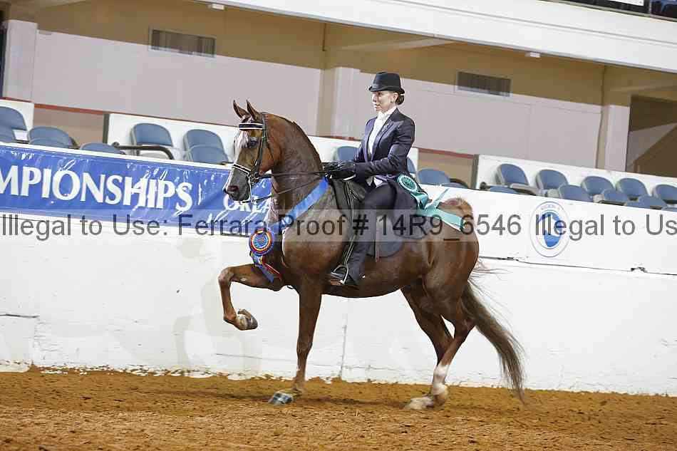 Proof 14r9_6546
