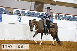 14r9_6566 proof