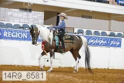 14r9_6581 proof