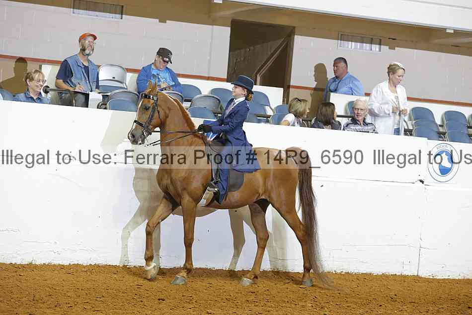 Proof 14r9_6590