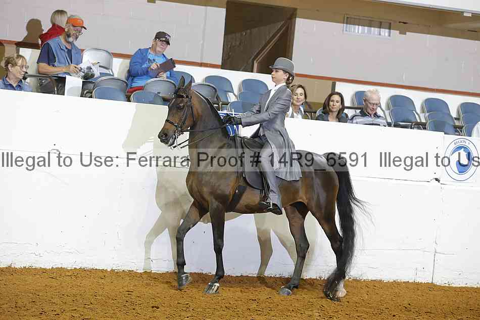 Proof 14r9_6591