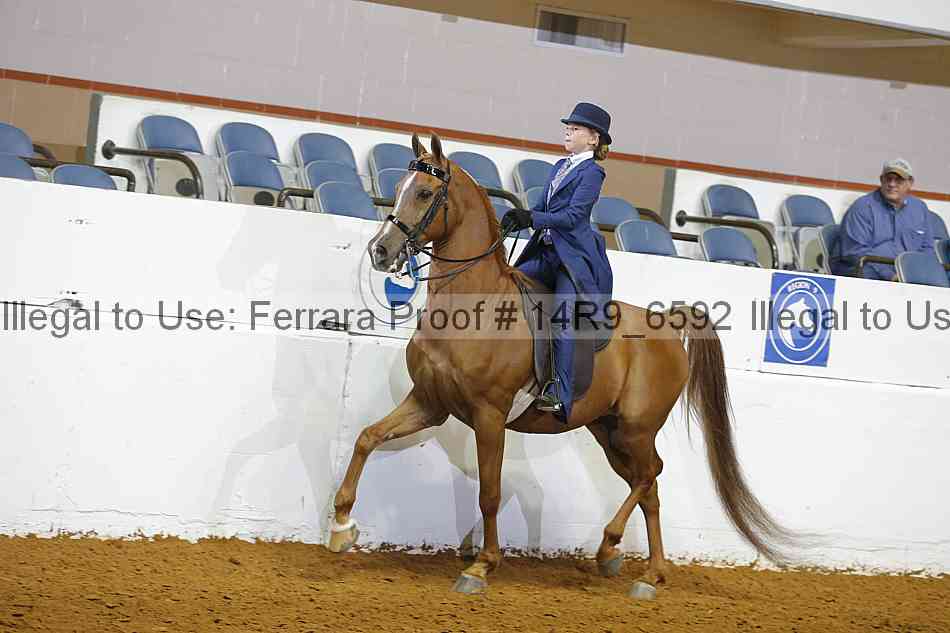 Proof 14r9_6592
