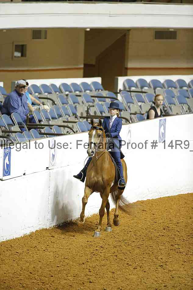 Proof 14r9_6593