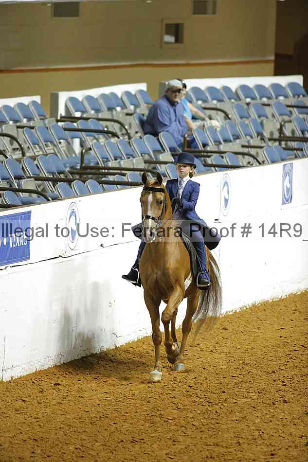 Proof 14r9_6595