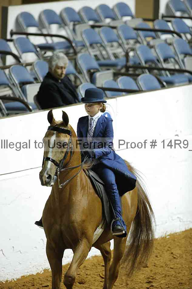 Proof 14r9_6596
