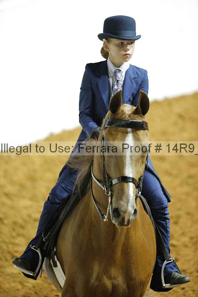 Proof 14r9_6597