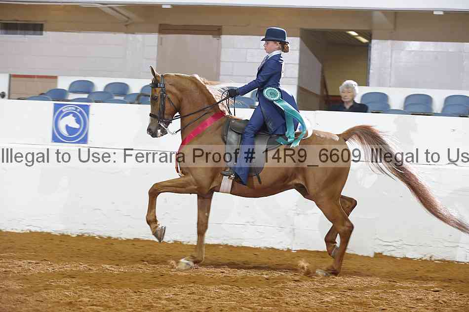 Proof 14r9_6609