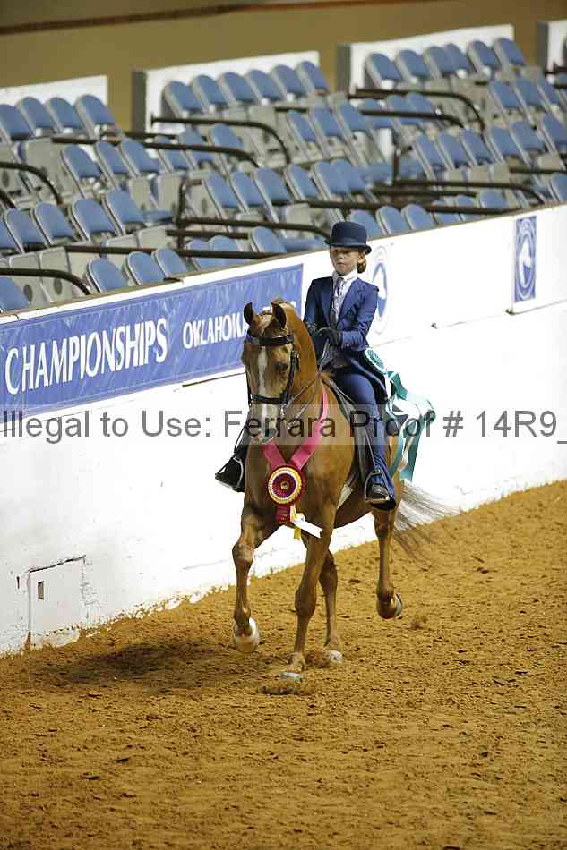 Proof 14r9_6610