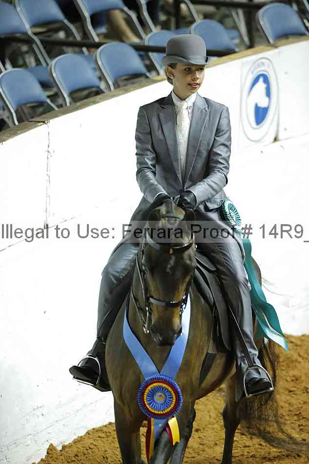 Proof 14r9_6617