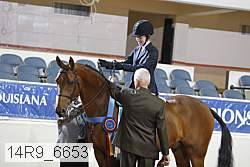 14r9_6653 proof