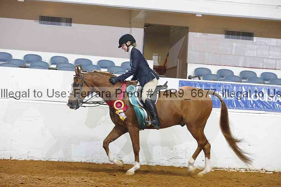 Proof 14r9_6677