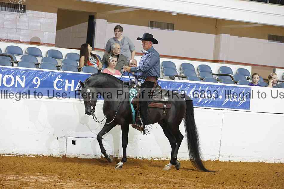 Proof 14r9_6833