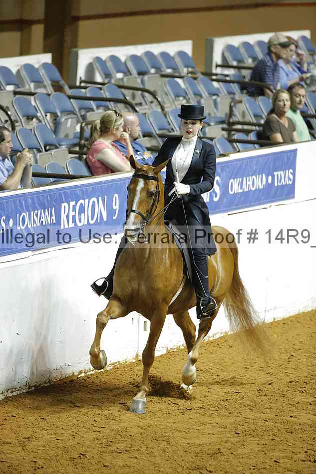 Proof 14r9_6851