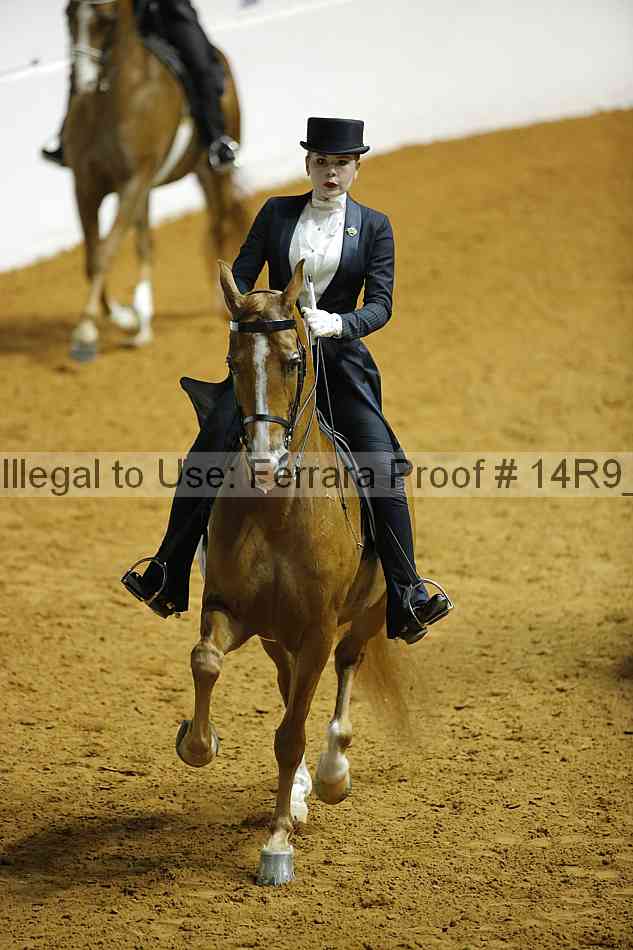 Proof 14r9_6862