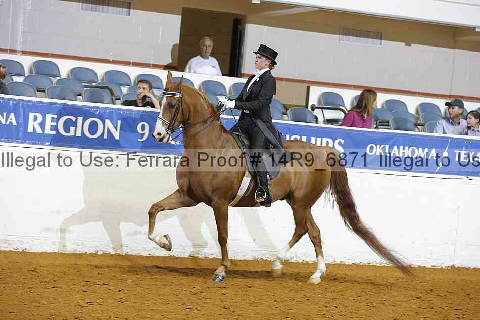 Proof 14r9_6871