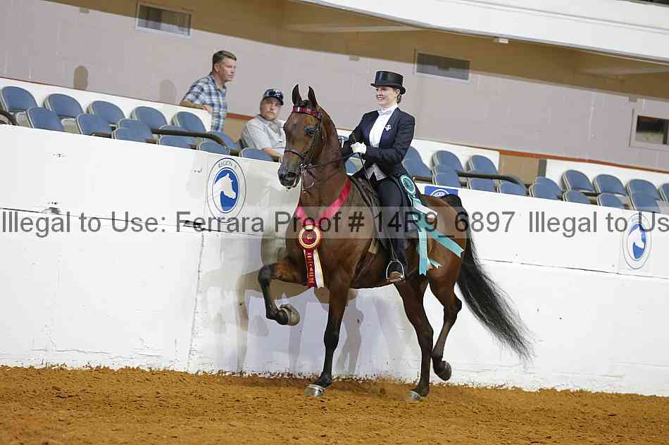 Proof 14r9_6897