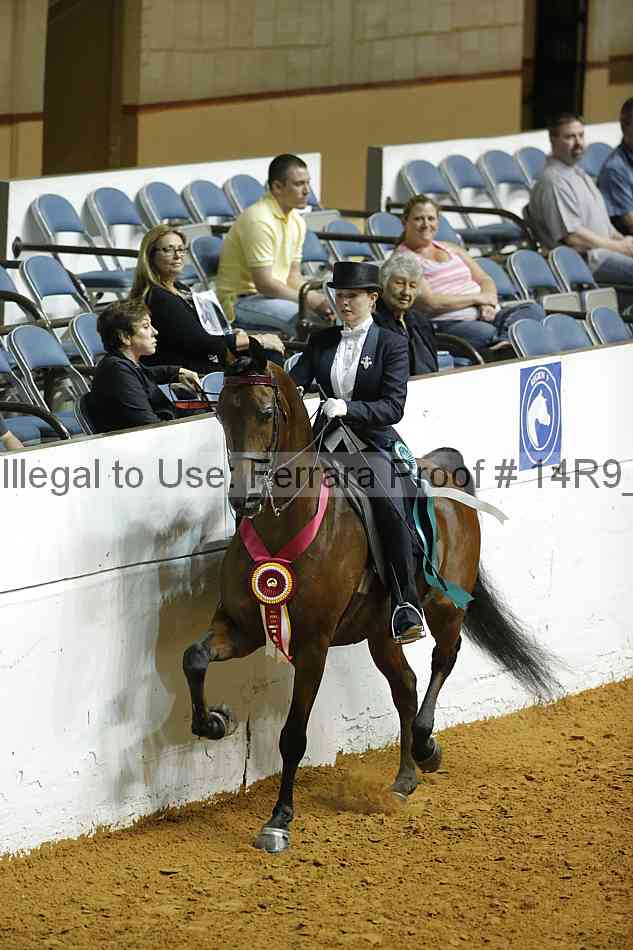 Proof 14r9_6902