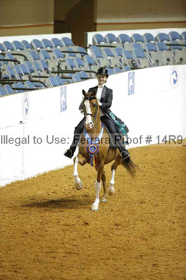 Proof 14r9_6906