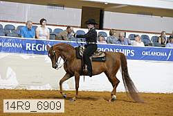14r9_6909 proof
