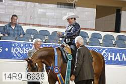 14r9_6938 proof