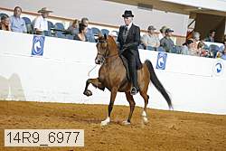 14r9_6977 proof