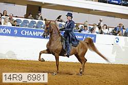 14r9_6981 proof