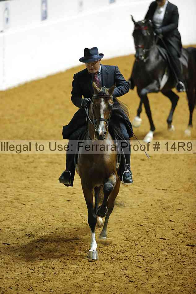 Proof 14r9_6992