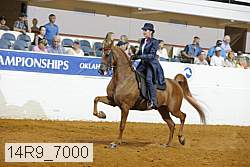 14r9_7000 proof