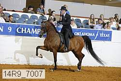 14r9_7007 proof