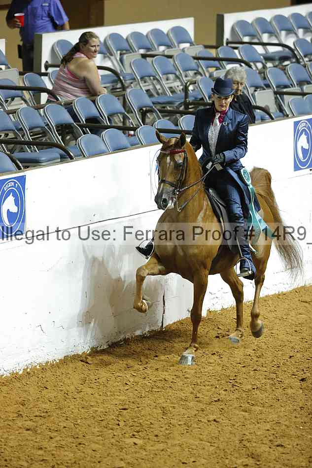Proof 14r9_7017
