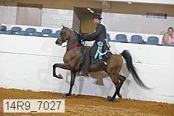 14r9_7027 proof