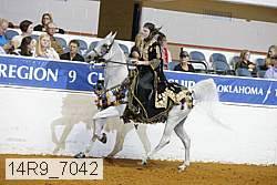 14r9_7042 proof