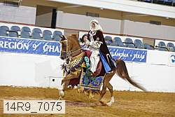 14r9_7075 proof