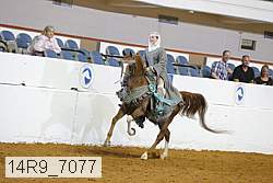 14r9_7077 proof