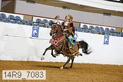 14r9_7083 proof