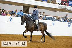 14r9_7094 proof