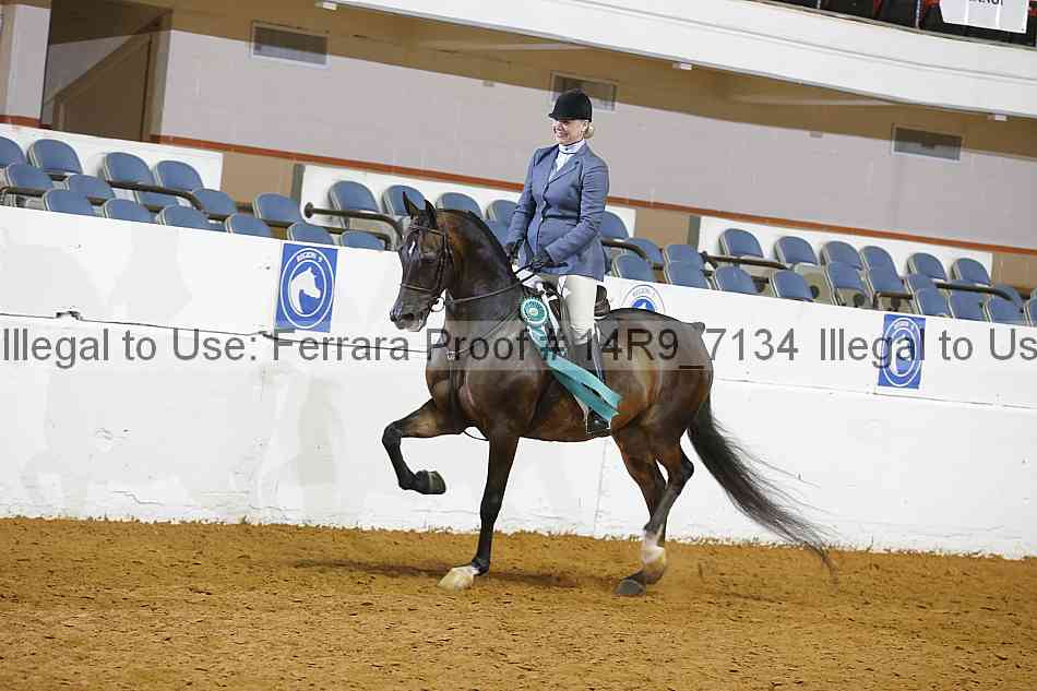 Proof 14r9_7134