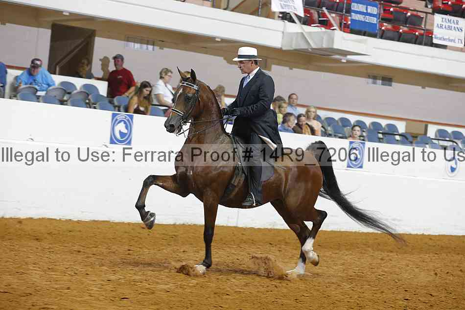 Proof 14r9_7206