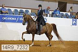 14r9_7232 proof