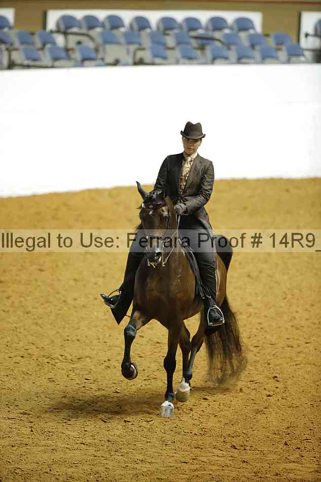 Proof 14r9_7235