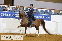14r9_7237 proof