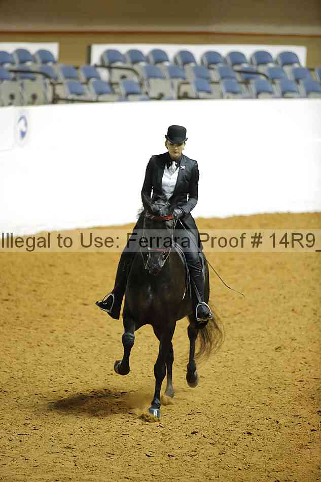 Proof 14r9_7238